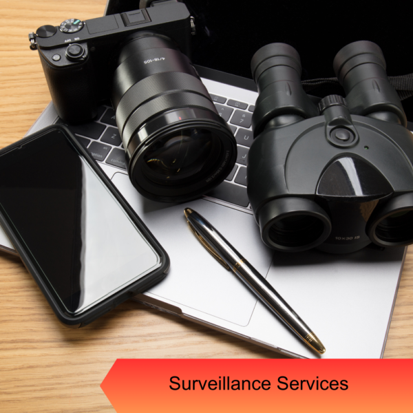 Surveillance Services